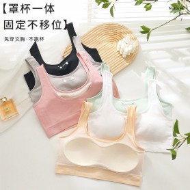 Rabbit & Bear Teen Bra