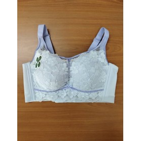 Lace Mesh Energy Bras